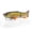 Golden Shiner, variant on Savage Gear Scandal Resident, Rainbow Trout, 10 in (1-Count)