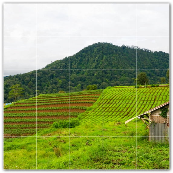 Picture-Tiles.com: Farm Ceramic Tile Wall Mural WAL500570-55S. 21.25"W x 21.25"H using (25) 4.25" x 4.25" Ceramic Tiles-Satin Finish