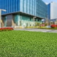 thumbnail image 2 of Outsidepride Warm Season Seashore Paspalum Salt Tolerant Lawn, Turf Grass Seed - 1 LB, 2 of 4