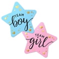 thumbnail image 3 of Pegatinas de equipo para niño y niña, pegatinas de equipo para niño o niña de 60/120 piezas, para decoración de fiesta de revelación de género, suministros para Baby Shower, etiqueta de caja de regalo, 3 of 4