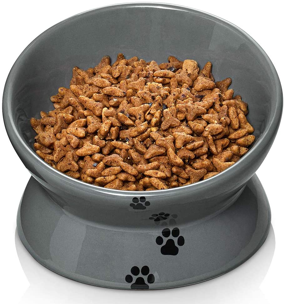 Flat cat food dishes hotsell