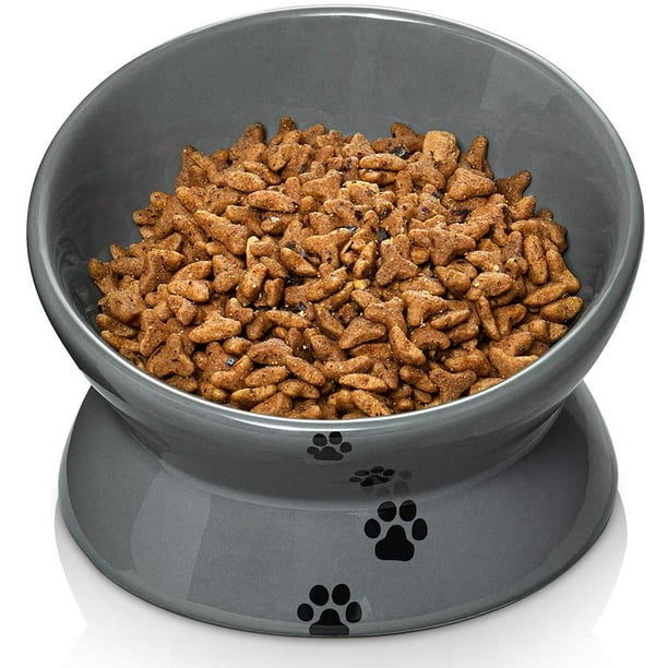 Bowl of 2025 cat food