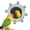 Blue, variant on Bird Mirror Toys for Cage Parakeet Rotating Sound Wheel Toy,Budgie Training Colorful Interactive Chew Toys for Canaries Lovebirds Conures Cockatiels.