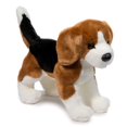 thumbnail image 5 of Bernie Beagle, 5 of 5