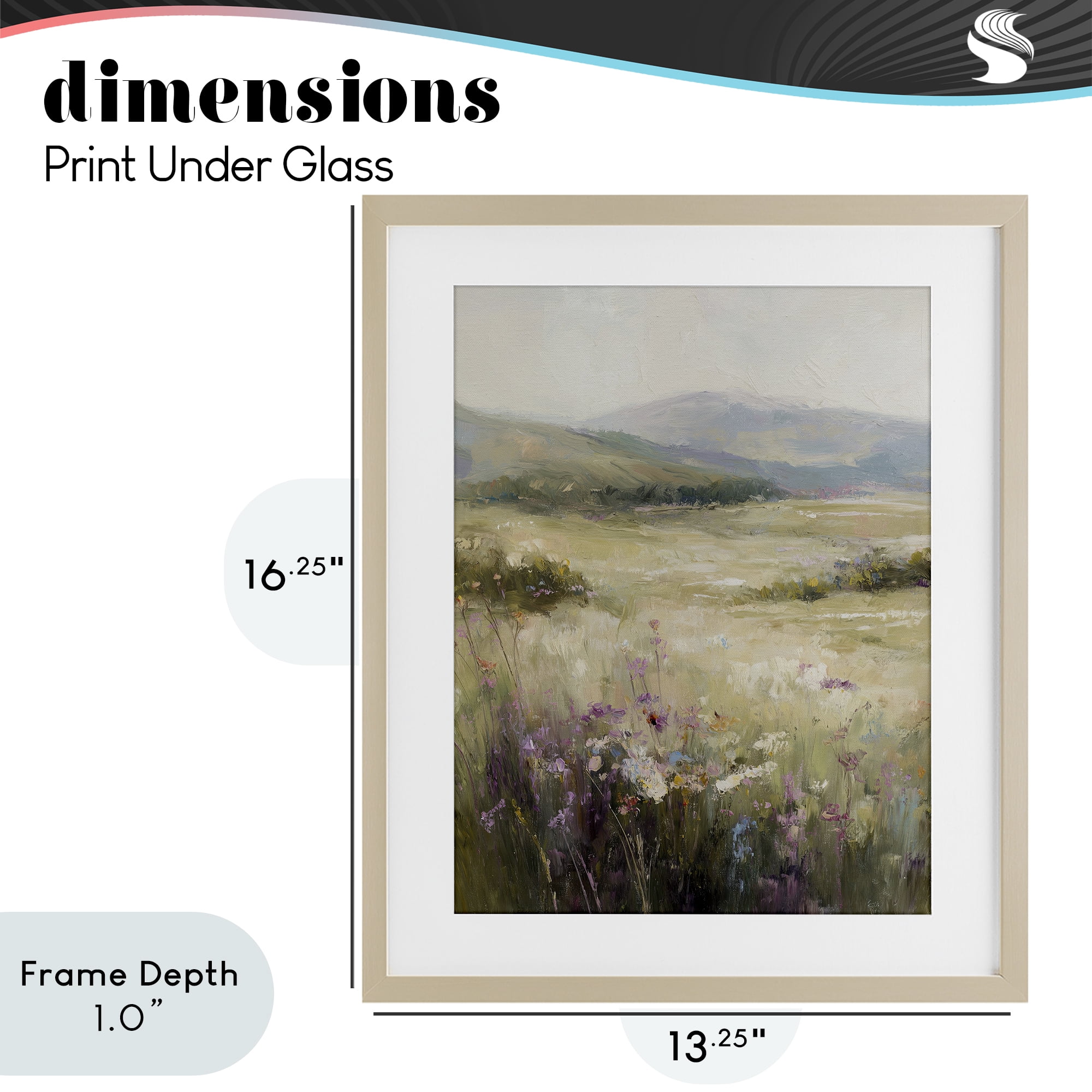 Stupell Industries Fields Of Serenity Birch Framed Print Under Glass, design by Svetlana Aleynikova