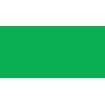 thumbnail image 1 of Amsterdam Standard Acrylic Paint 120Ml-Brilliant Green, 1 of 1