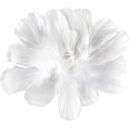 thumbnail image 1 of 450 piezas de plumas blancas YONGSHENG 3-5 pulgadas para manualidades, 1 of 5