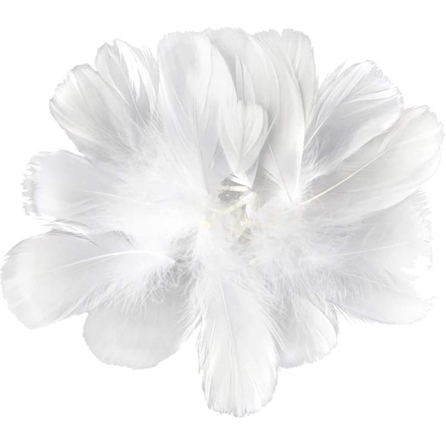 450 piezas de plumas blancas YONGSHENG 3-5 pulgadas para manualidades