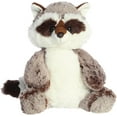 thumbnail image 1 of Aurora Sweet and Softer Plush Rocky Raccoon 12", 1 of 6