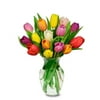 From You Flowers - Rainbow Tulip Bouquet - 15 Stems with Glass Vase (Fresh Flowers) Birthday, Anniversary, Get Well, Sympathy, Congratulations, Thank You