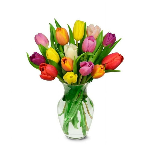 From You Flowers - Rainbow Tulip Bouquet - 15 Stems with Glass Vase (Fresh Flowers) Birthday, Anniversary, Get Well, Sympathy, Congratulations, Thank You