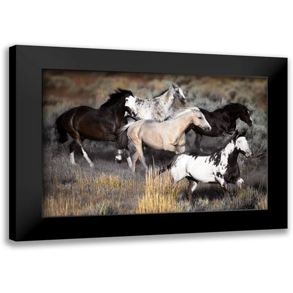 Delimont, Danita 14x11 Black Modern Framed Museum Art Print Titled - High Prairie Run