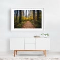 thumbnail image 2 of Trail at Wye Island - Maryland Photography White Framed Wall Art Print 20 x 30 inches, 2 of 3