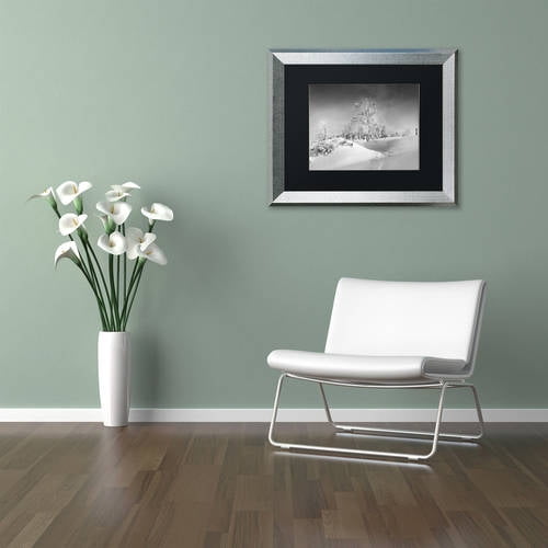 Trademark Fine Art "Dressed For Winter B&W" Canvas Art by Philippe Sainte-Laudy, Black Matte, Silver Frame