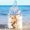 Blue, variant on Large Capacity Mesh Beach Bag for Women Men | Sandproof Dry Wet Separation Swimming Pool Tote | Ripstop Polyester Grocery Storage Net Bag for Travel Beach Vacation - 14.96x9.84x6.30 Inch