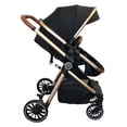thumbnail image 2 of Bily Forward-Facing or Parent-Facing Convertible Stroller - Black & Gold, 2 of 6
