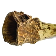 Handmade Didgeridoo Eucalyptus (Root)
