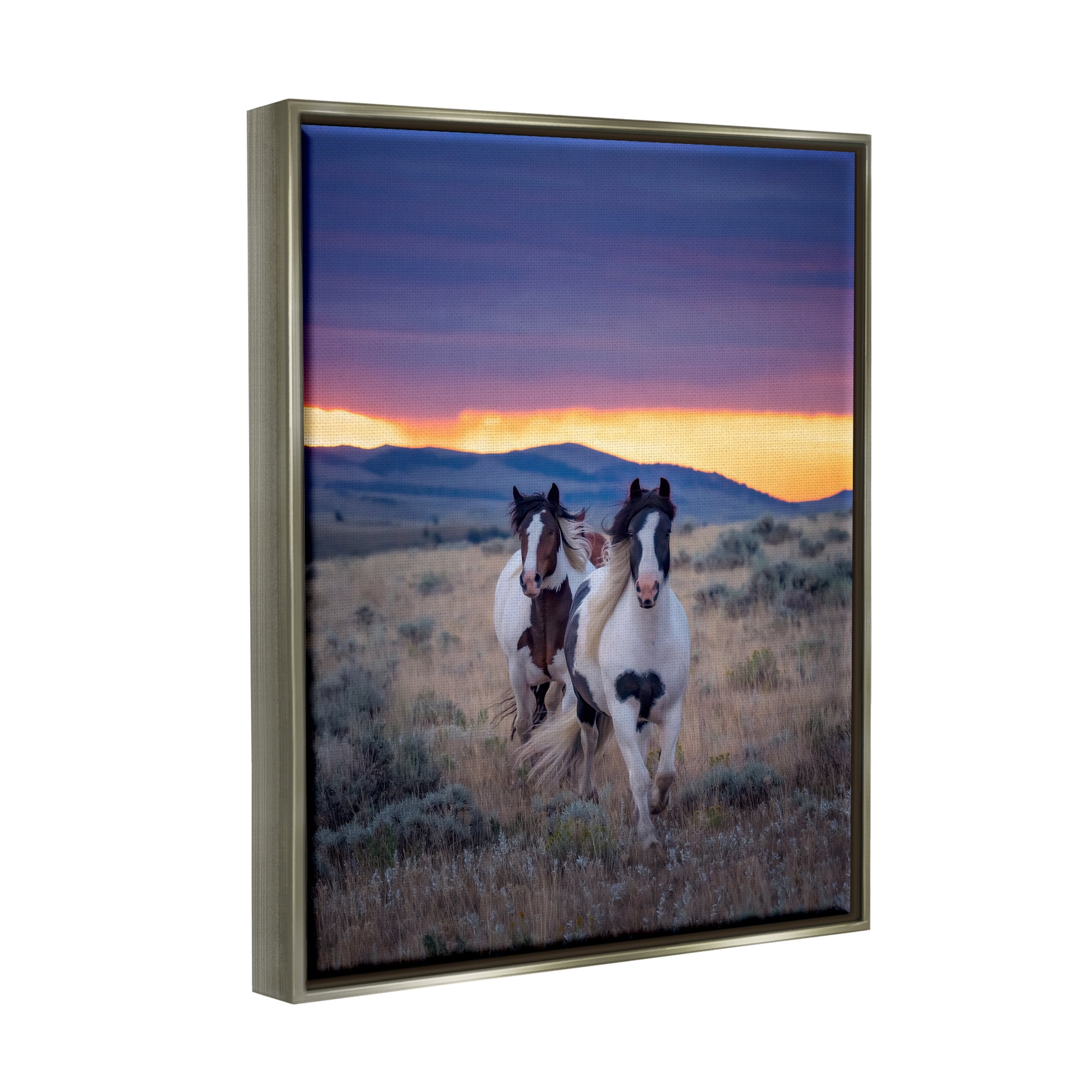 Stupell Industries Spotted Horses at Sunrise Animals & Insects Photography Gray Floater Framed Canvas Art Print Wall Art, 17 x 21