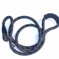 thumbnail image 2 of Pet Leash Reflective Strong Dog Leash 1.5m Long With Comfortable Padded Handle Training Durable Nylon Rope Leashes, 2 of 3