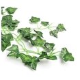 thumbnail image 5 of 12 hojas de hiedra falsa de 2,1 m, vides falsas, plantas colgantes artificiales, 11 Feliz Sencillez, 5 of 5