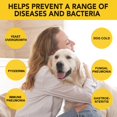 thumbnail image 4 of Tratamiento Natural para Infección por Levadura en Perros Daiasns 60 ml Gotas, 4 of 8