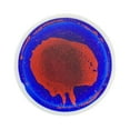 thumbnail image 4 of Abbracc Tuile de Jeu Liquide Colorée pour Enfants Tuiles Sensorielles Rondes pour Garçon Fille Enfants Rouge et Bleu, 4 of 9