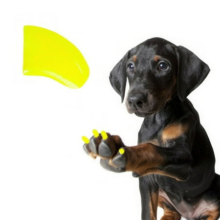 Pretty Claws Fluorescent Yellow Nail Caps for Dogs - Jumbo Size - 60 Pack ~ Stylish