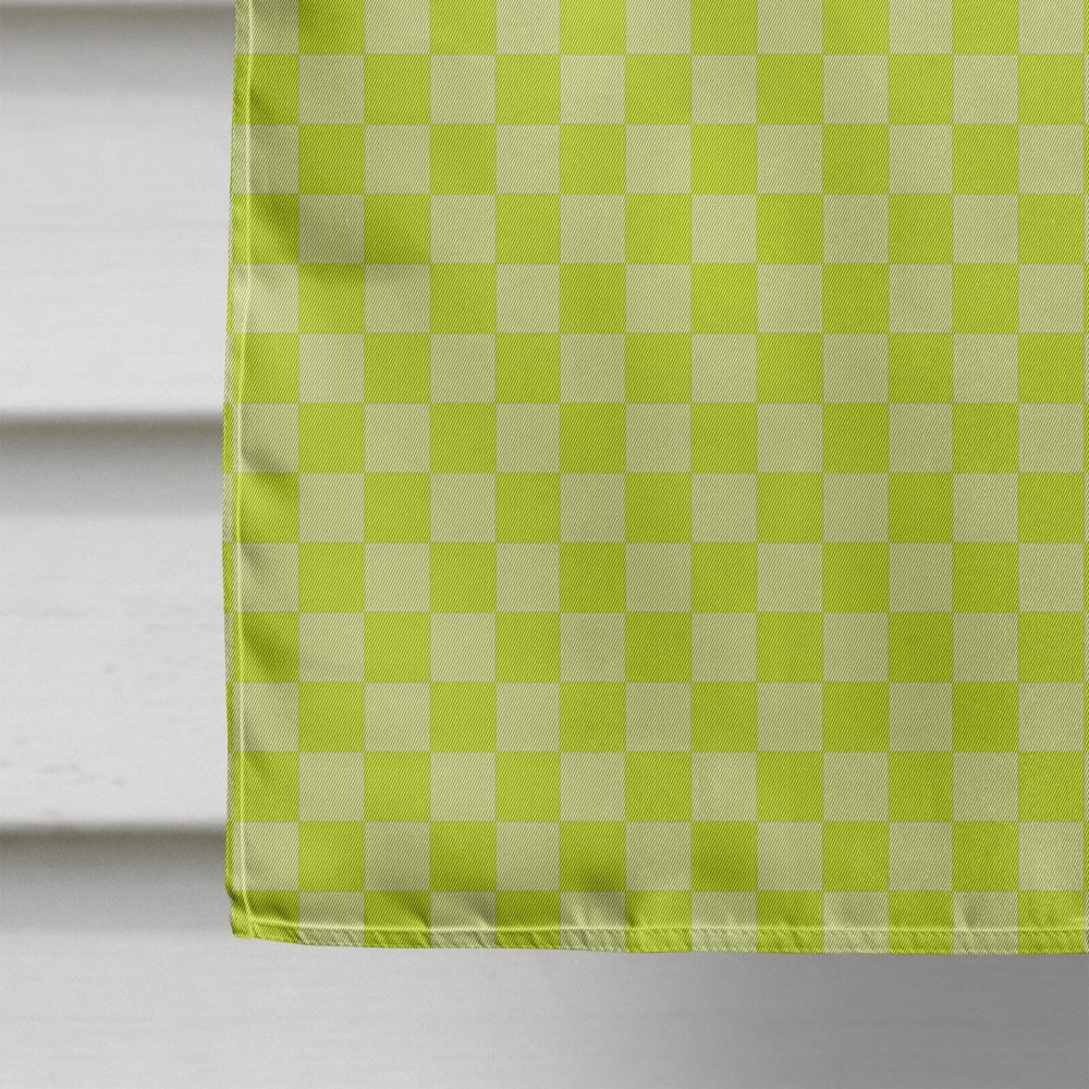 Carolines Treasures BB7749CHF Rhea Green Flag Canvas House