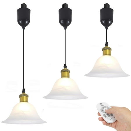 

Kiven J-Type Track Lighting Pendants Adjustable Beam Modern J Track Pendant Lights with Clear Art Glass Lampsade Track Lighting Fixture for Kitchen Hallway Restaurant 3 Lights(Gold)