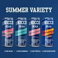 BCAA Energy Drink Summer Variety Pack 12 Fl Oz (Pack of 12) 180mg