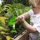 thumbnail image 4 of Kit de Jardinería de 3 Piezas Resistente, Juego de Herramientas de Jardinería para Niños, Herramientas Manuales de Jardinería para Jardín al Aire Libre con Mango, para Aflojar la Tierra, Des, 4 of 4