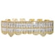 thumbnail image 3 of Parrillas de dientes de diamante, aparatos dentales, colmillos de vampiro, disfraz, cosplay, joyería dental Dorado Inferior, 3 of 9