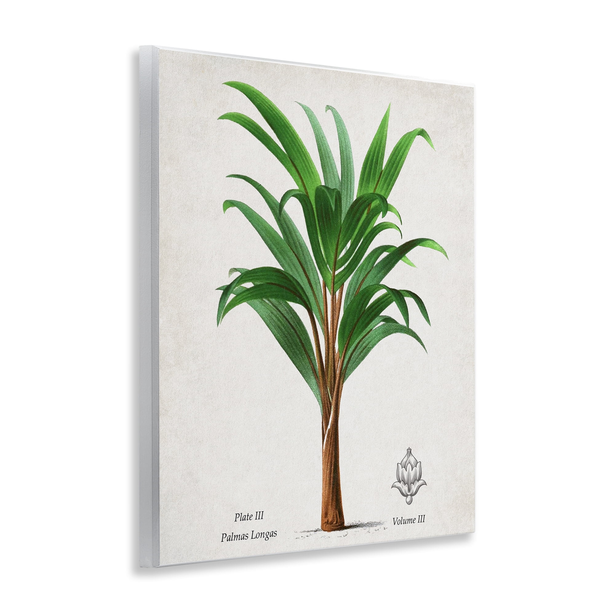 Stupell Industries Palmas Longas Palm Tree Wall Plaque Art, design by Val Rhodes