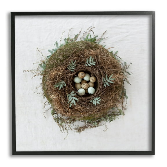Stupell Industries Peaceful Bird Nest Speckled Eggs Nature Photography Photograph Black Framed Art Print Wall Art, Design by Tania Soderman