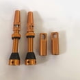 thumbnail image 4 of Kit Presta Tiges Tubeless 40/44/60mm en Acier Inoxydable avec Outil Accessoires de Montagne, 4 of 8