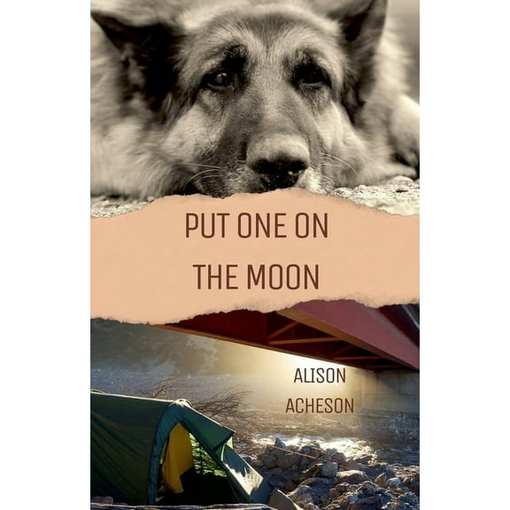 Put One On the Moon, (Paperback)