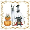 thumbnail image 3 of Popp, Grace 12x12 Black Modern Framed Museum Art Print Titled - Howloween II, 3 of 5