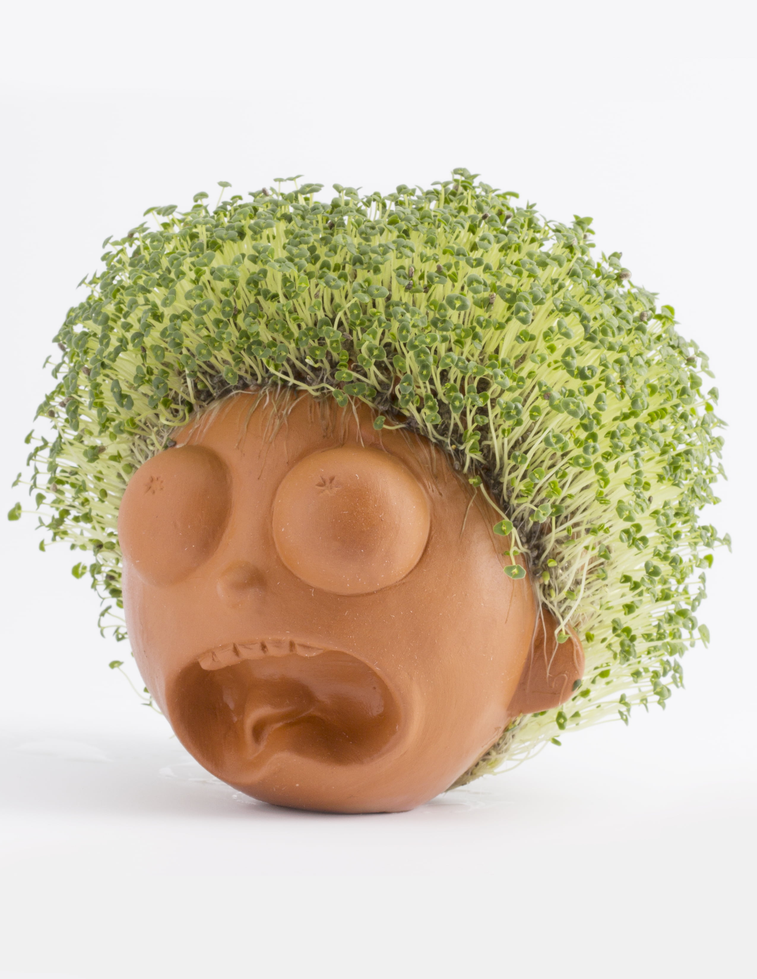 Chia Pet Morty (Rick Morty) - Decorative Pot Easy to Do Fun to Grow Chia Seeds - Walmart.com