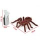 thumbnail image 5 of Kid Gift Remote Control Scary Creepy Soft Plush Spider Infrared Rc Tarantula Toy, 5 of 5