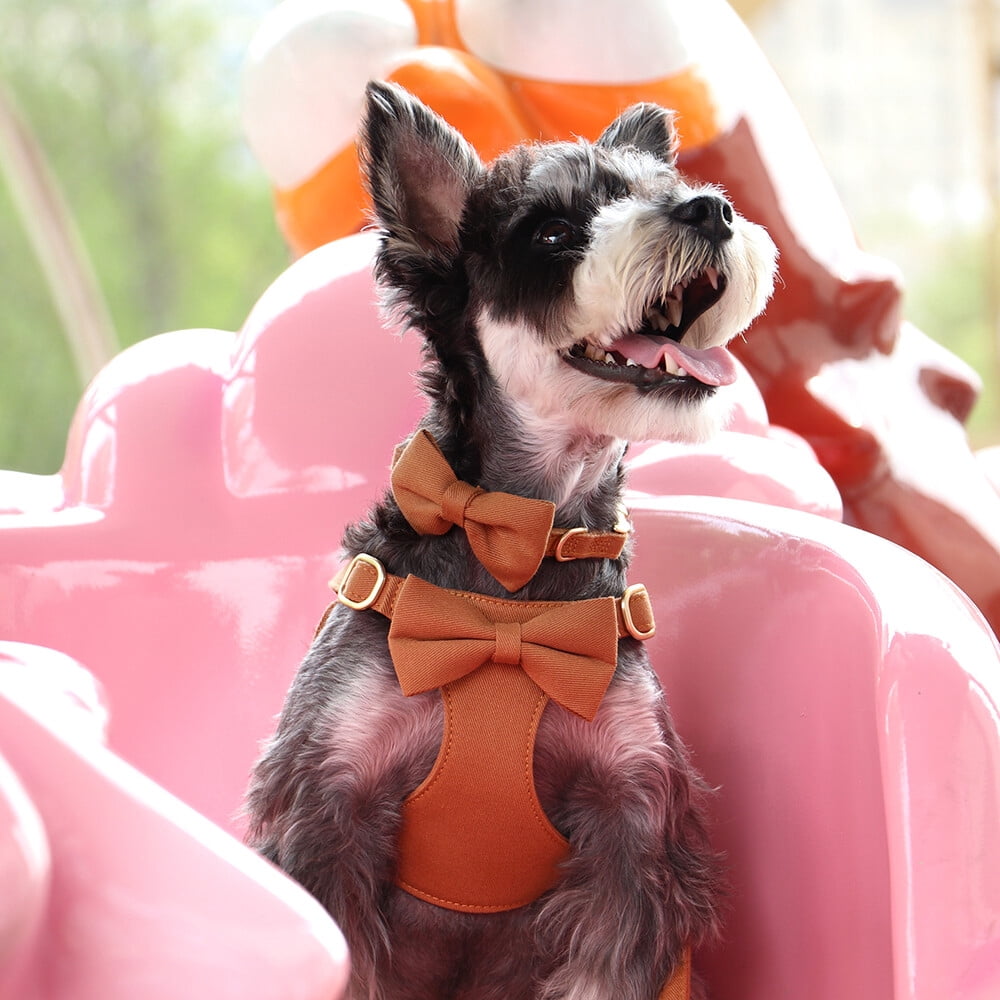 Didog Cute Small Dog Vest Harness & Collar & Leash & Poo Bag Holder set for Puppy Cats Pet Yorkie
