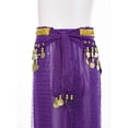 thumbnail image 6 of Alvivi Kids Girls Belly Dance Harem Pants Beads Coin Tribal Arabic Indian Dance Trousers with Hip Scarf Purple 7-9, 6 of 7