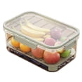 thumbnail image 1 of Caja de conservación de hielo for exteriores, contenedor de caja de snacks con bolsa de hielo, caja de snacks refrigerados de doble capa, 1 of 6
