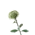 thumbnail image 2 of SPRING PARK 1Pc Artificial Fake Silk Flower Australian Native Protea Pincushion Flower, 2 of 7