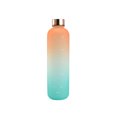 thumbnail image 1 of Soidarity Botella de agua de 1000ml, vaso portátil para exteriores, tapa de acero inoxidable, taza para beber, reutilizable, para estudiantes, escuela, Kits de desorden para acampar Rosado azul Soidarity OD028155-08, 1 of 6