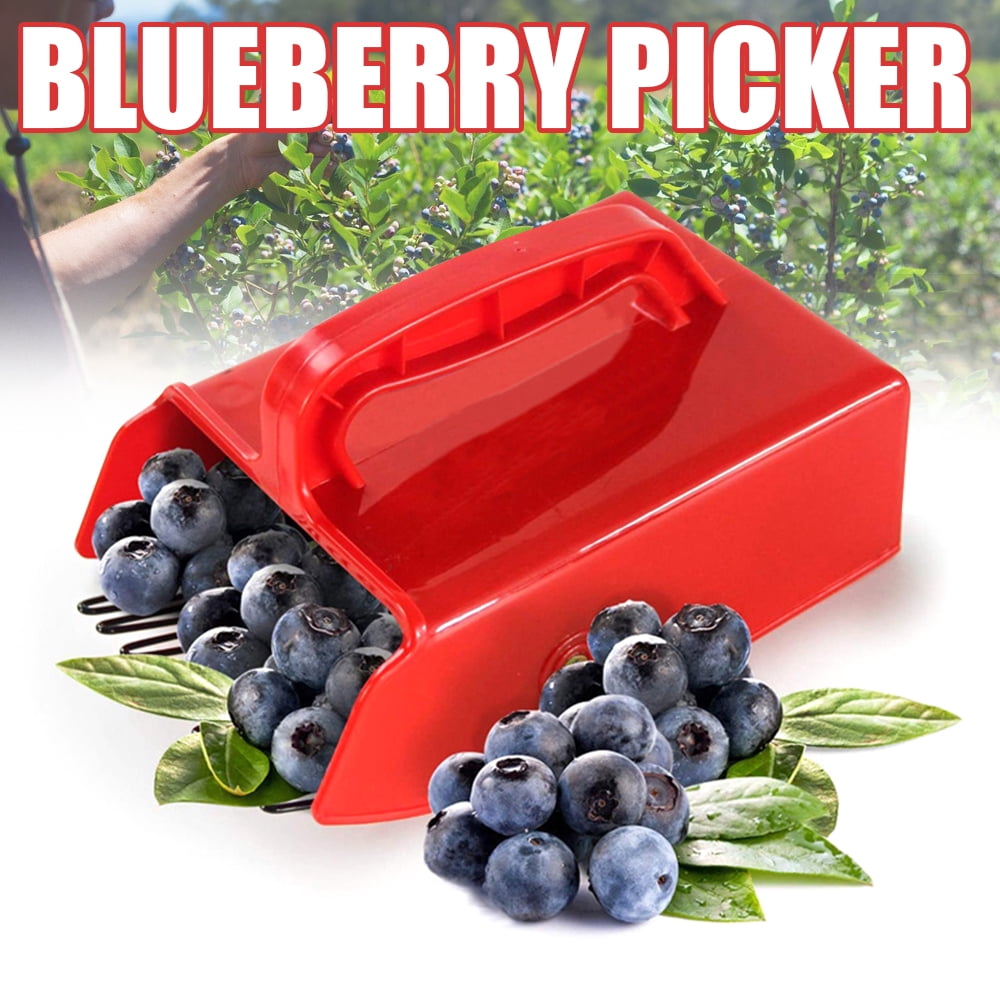 Blueberries Picker for Blackcurrant Blueberry Brush with Ergonomic ...
