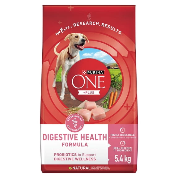 Purina ONE SmartBlend Digestive Health Formula Chicken, Dry Dog Food 5.4kg