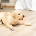 thumbnail image 2 of Pet Toy Dog ​​teething Bone Stick To Boredom Pet Chew Knot Toy Wear Training Dog, 2 of 5