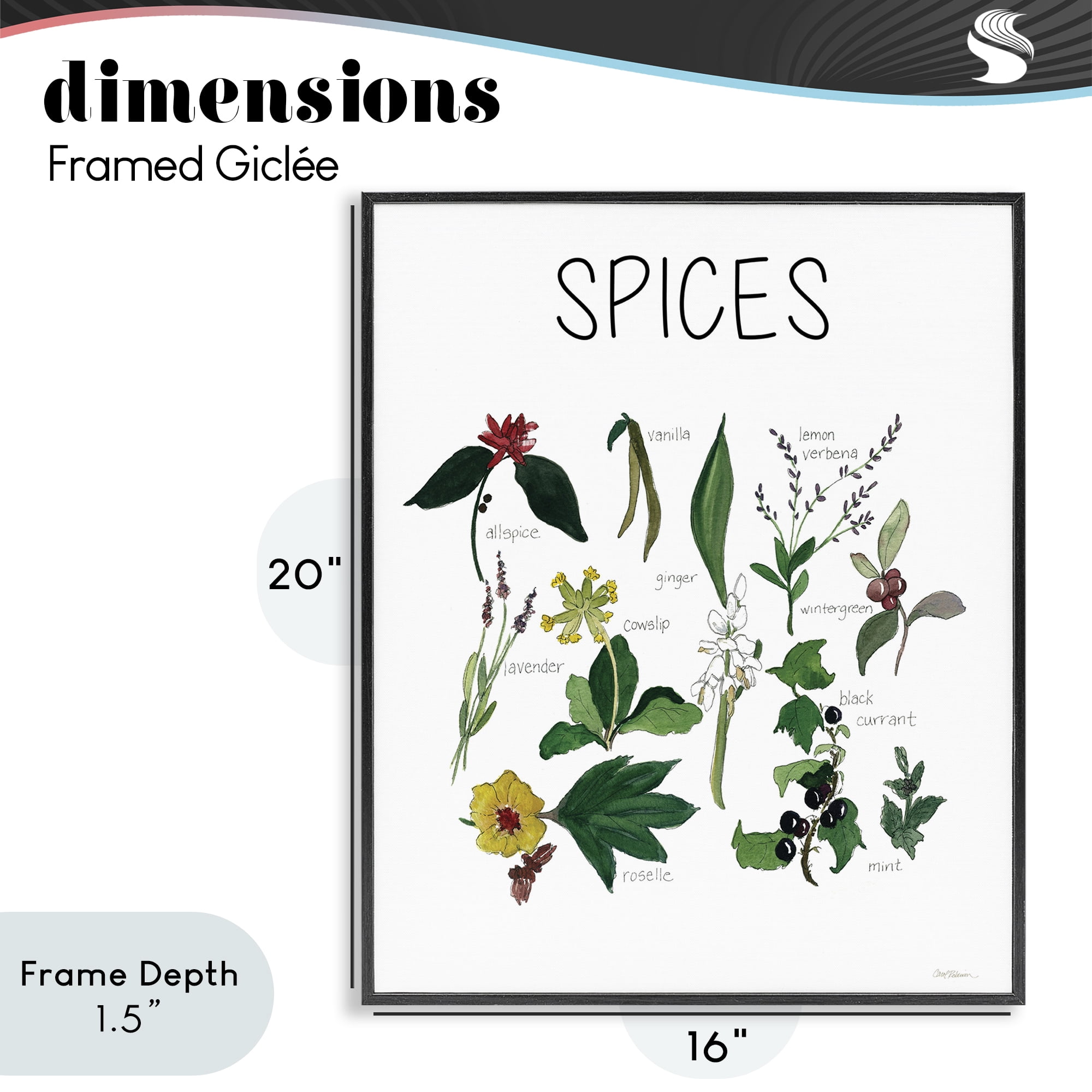Stupell Industries Spices Identification Chart Black Framed Giclee Art, design by Carol Robinson