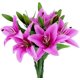 thumbnail image 1 of Flores artificiales Tiger Lily Real Touch Flores falsas para boda Fiesta en casa Jardín Tienda Decoración de oficina Lirio de plástico 5 Ramos Flores de imitación, Púrpura WD.WDQZL Hogar, 1 of 7