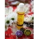 thumbnail image 5 of Perfume Cuba Gold Eau De Toilette en aerosol, 35 ml, para hombre, 5 of 5